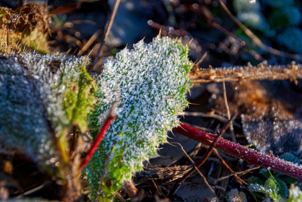 spring ac preparation after a cold winter