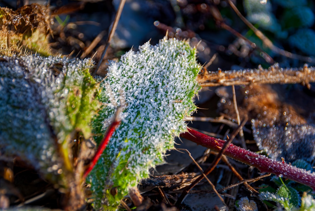 spring ac preparation after a cold winter